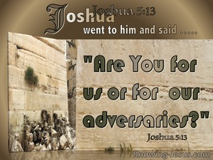 Joshua 5:13